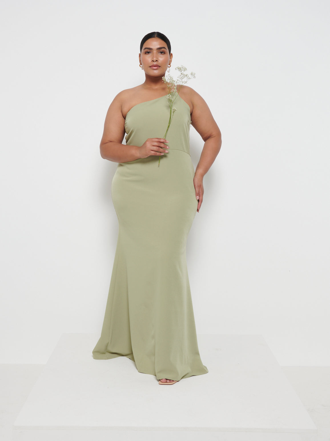 Vita Di Palma™ | Olive